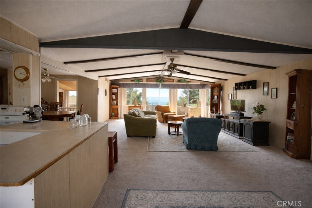 33404 Robinhood Drive