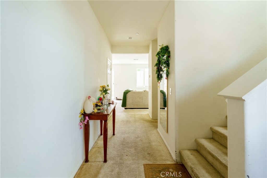 29162 Tarragon