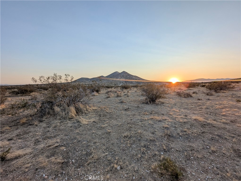 Vacant flat desert lot of 108,900 square feet in Rosamond, Kern County with desert views. Property lines are 663' on North, 663' on South, 166' on West and 166' on East. Google Maps pin drop available for visiting the property by contacting Erin Blakeslee @ Coldwell Banker Realty {310.308.4256 erin@erinblakeslee.com}. Seller and seller's agent do not represent nor guarantee accuracy of the property use, zoning, utilities, lot size, dimensions, schools or other information concerning the conditions or features of the property. Buyer is advised to independently verify the accuracy of all information through personal inspection and with appropriate professionals to satisfy themselves. All information presented is deemed reliable but not guaranteed.