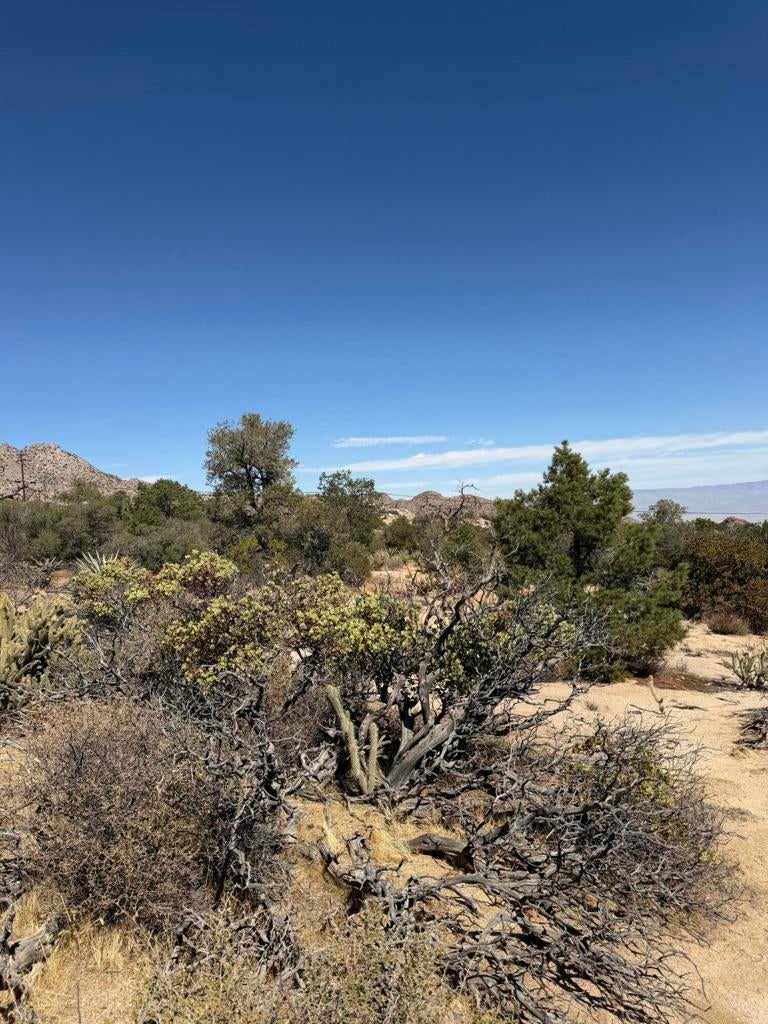 0 Carrizo Road