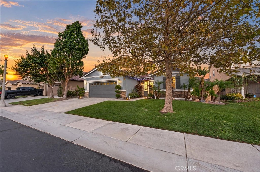 27098 Tube Rose Street