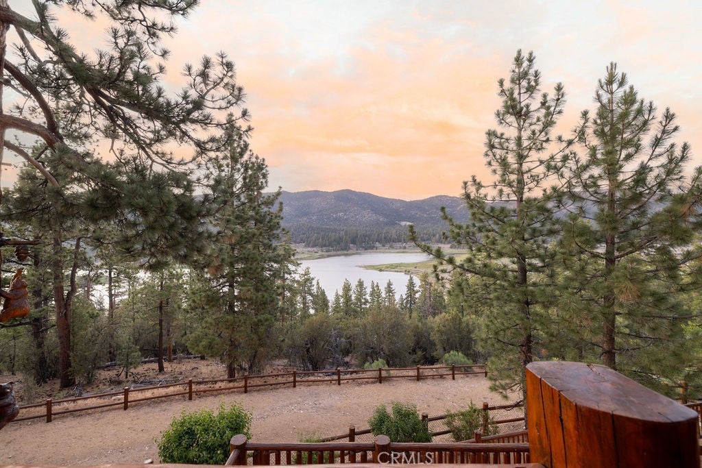 42668 Timberline Trail