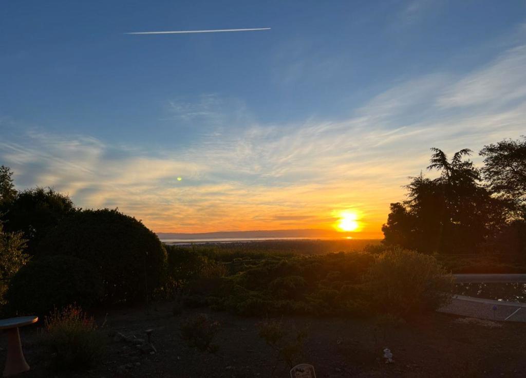 Absolutely the BEST VIEW of the Bay. Wake up early and catch the stunning panoramic view of the sun rising from this 4 bed/3 Mid-Century Modern home in Woodside Hills. Sit back relax and enjoy expansive views of the San Francisco Bay. On a clear day looking a bit Northwest youll catch a glimpse of the Bay Bridge as well as Treasure Island. One of the iconic features of a Mid-Century Modern home is their floor to ceilings windows that provide one with scenic views as well as bringing in an abundance of natural light. As the day transitions from day to night your view will be filled with lights from the bay that can leave you breathless. This 2,430 sq. ft. home on a mostly flat one-acre lot provides an excellent opportunity for one to remodel or design/build the home of your dreams with spectacular priceless views in one the most desired locations on the Peninsula. It's just 35 miles from The City and only 26 miles from Silicon Valley. A short drive from downtown Woodside shops and restaurants. Fine dine at The Pub or enjoy a meal at Bucs of Woodside a fixture of Silicon Valley. Nature lovers can explore the nearby vast open spaces,parks and preserves which provide an abundance of hiking and biking trails. Don't miss your opportunity to make this your forever home. Virtually Staged