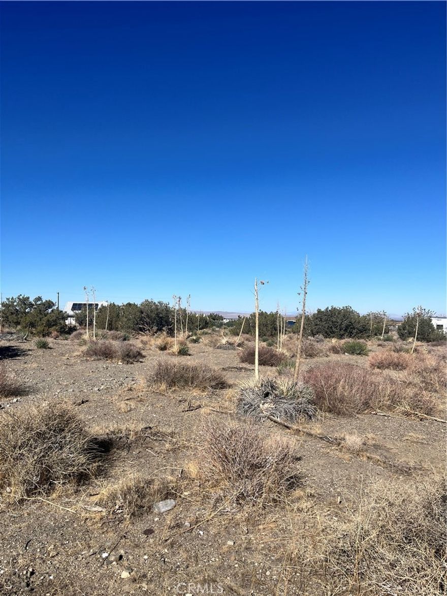 Prime Desert Corner Lot with Utilities underground running on Beekley and Acacia!

Discover the perfect canvas for your dream home or investment vision on this spacious corner lot, fully fenced and ideally located just 6 minutes from downtown Phelan. Nestled in the serene desert landscape, this property offers both tranquility and convenience. Underground utilities are already in place along Beekley and Acacia, making development a breeze.  Owner is also selling the adjoining lot next to this one.

Whether you're looking to build your forever home or secure a smart investment, this parcel checks all the boxes. With a motivated seller and high demand in the area, opportunities like this don’t last long.

Act fast—bring your offers today!