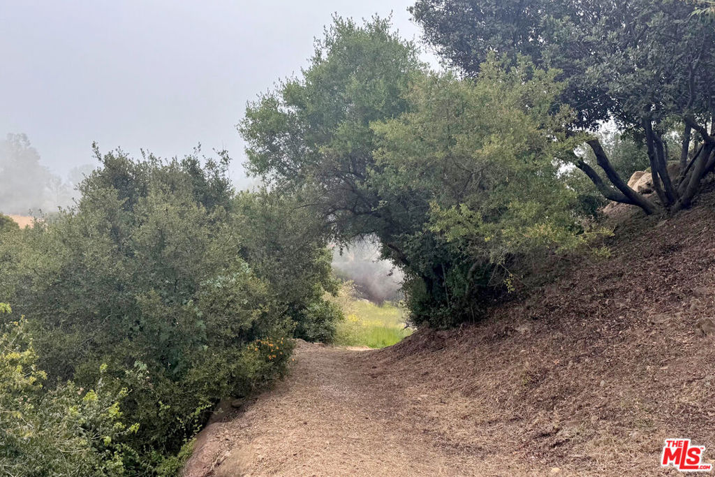 West Saddle Peak - Residential