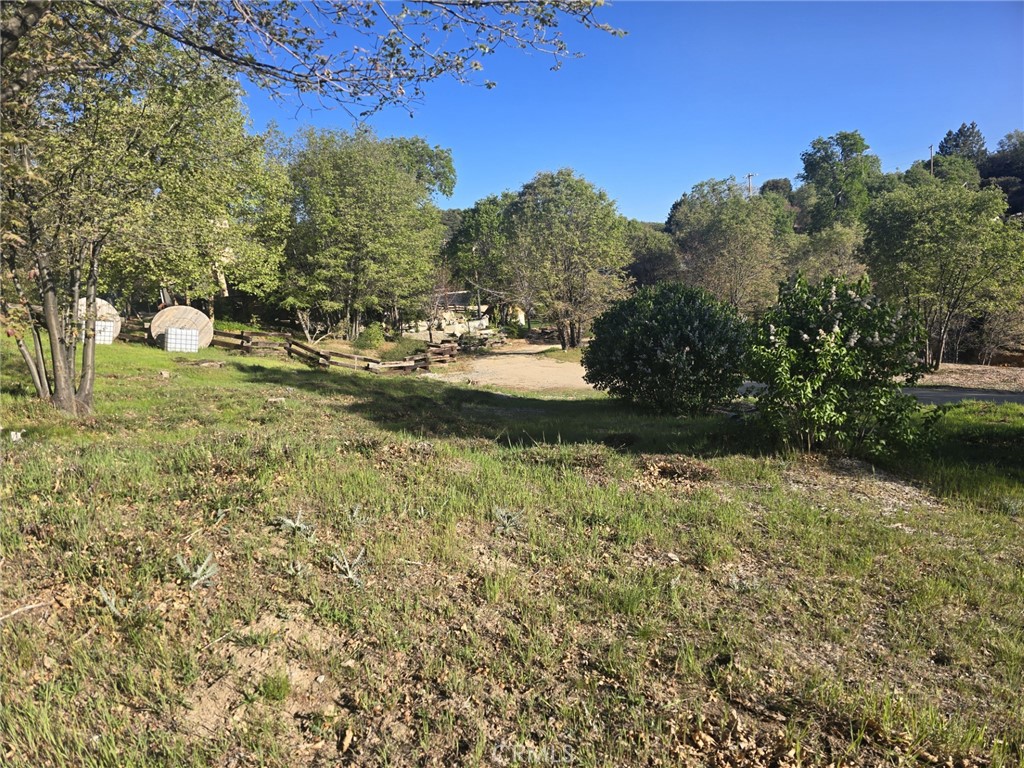 29783 Redwood