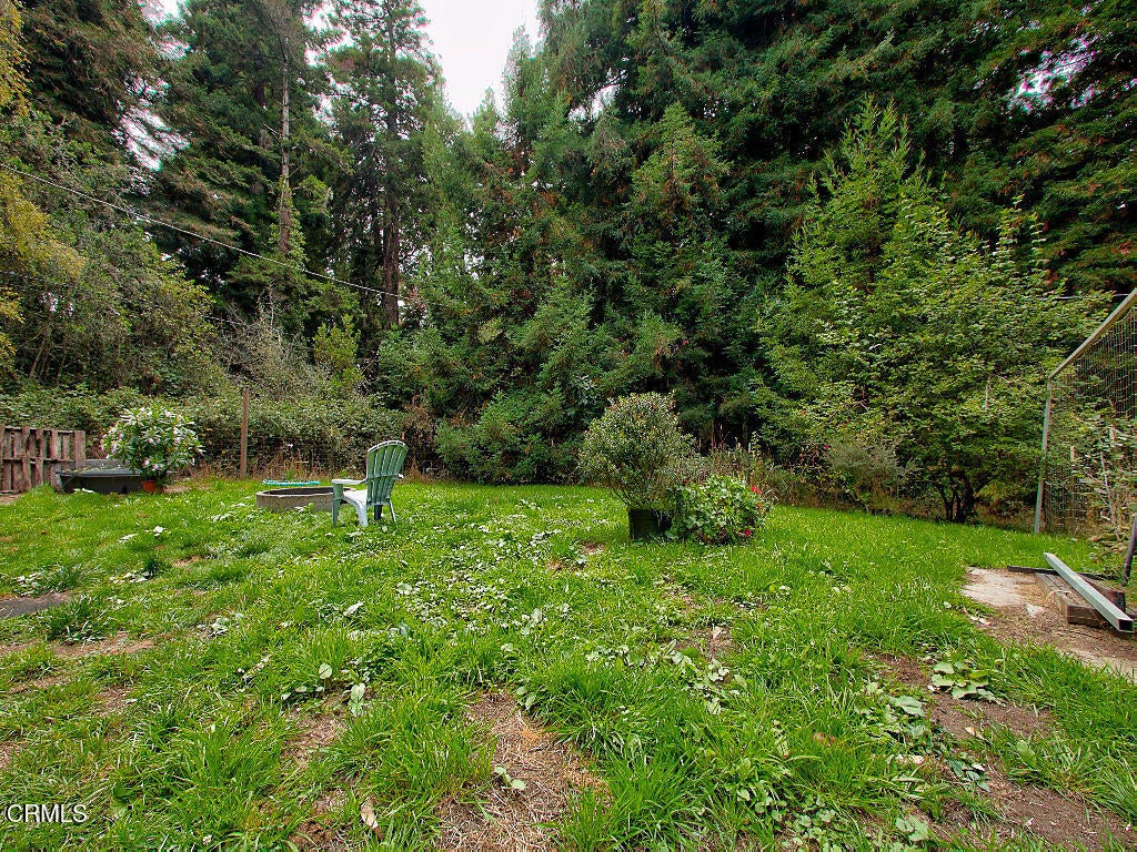 19151 Pine Tree Lane