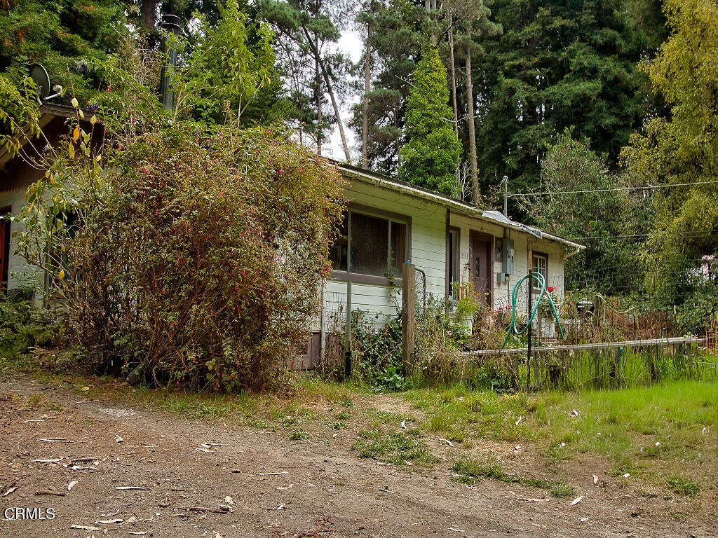 19151 Pine Tree Lane