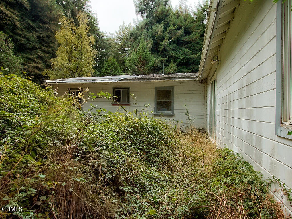 19151 Pine Tree Lane