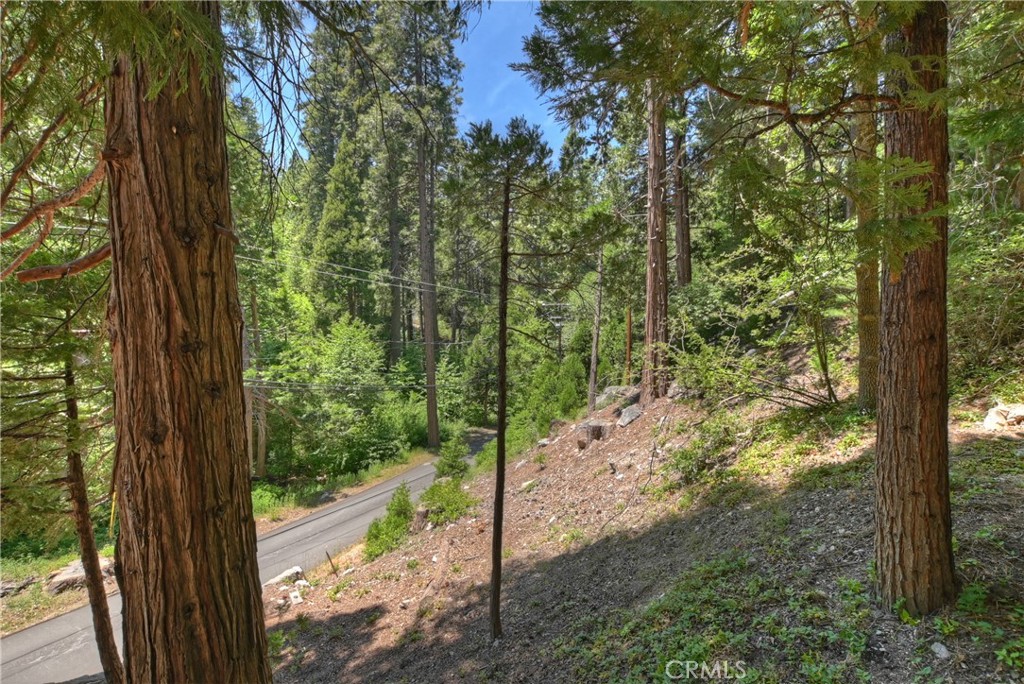 Blue Jay (BLUJ) - Residential