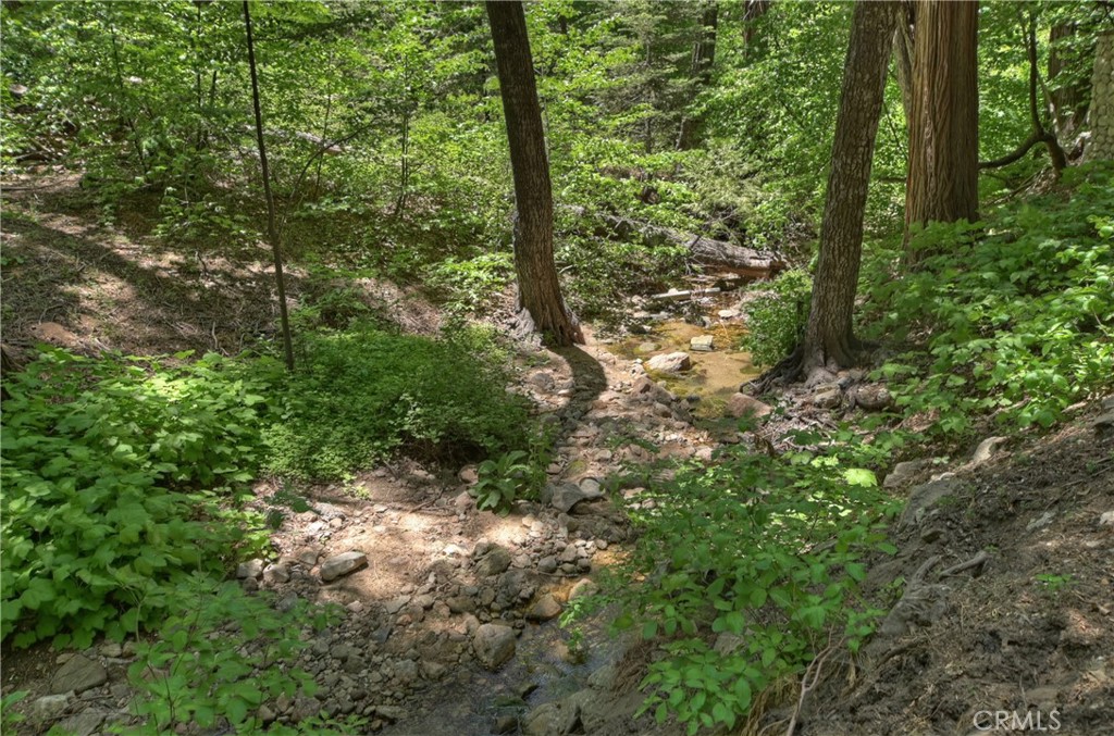 Blue Jay (BLUJ) - Residential