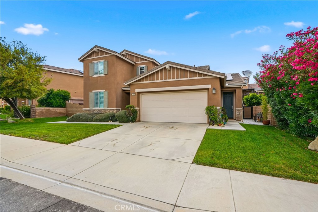 17950 Newport Plum