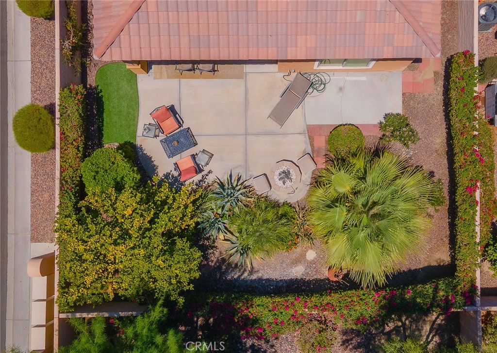 81535 Avenida De Baile