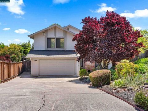 Photo of 222 Jenay Ct CT, Martinez, CA 94553 (MLS # 41136189)