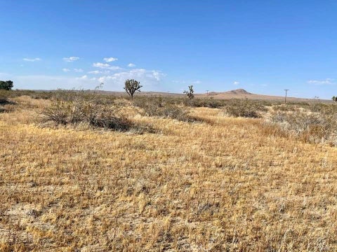 Photo of 150 E Avenue K12 APN#3362-006-009 Roosevelt, Lancaster, CA 93535 (MLS # HD26225453)