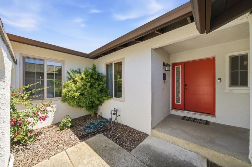 458 Pin Oak