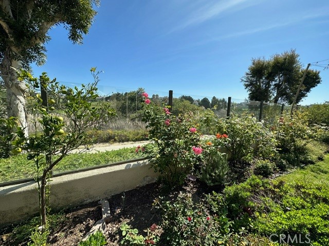 36 Via Corsica, Dana Point CA 92629 - Photo 49