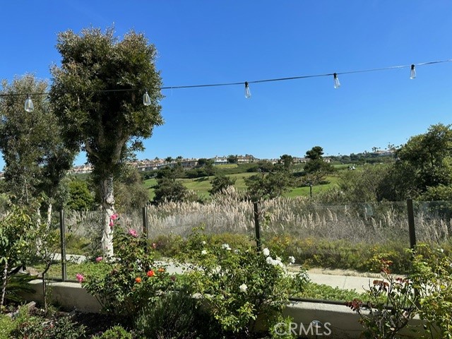 36 Via Corsica, Dana Point CA 92629 - Photo 50