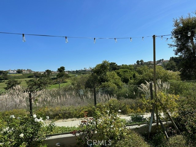 36 Via Corsica, Dana Point CA 92629 - Photo 51