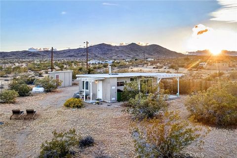 Photo of 437 Mallow Road, Landers, CA 92285 (MLS # JT26012432)