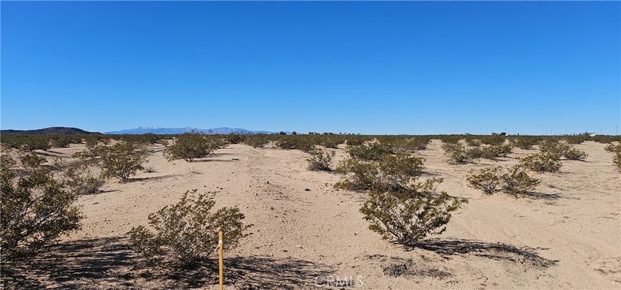 Don't miss out on a opportunity to own this generous 5 acre parcel! Bring your vision and make it your own!  This spacious parcel has power nearby, water at the road, a registered address, a percolation test and a land survey.  Buyer to verify perc test and land survey.  Buyer to do due diligence regarding zoning, permitting, utilities etc.  Cabin on property is unhabitable.