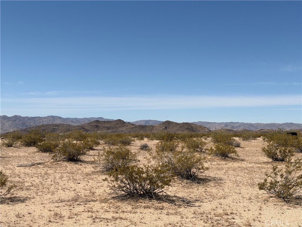 66356 Sonora