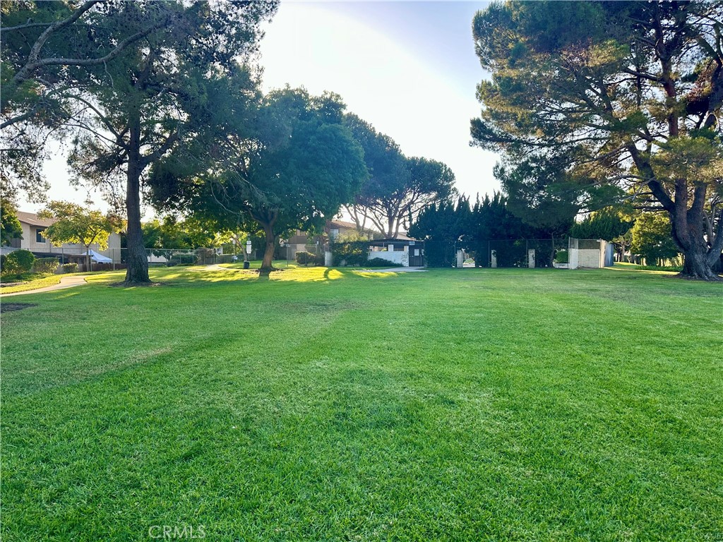 Spring Valley - Residential