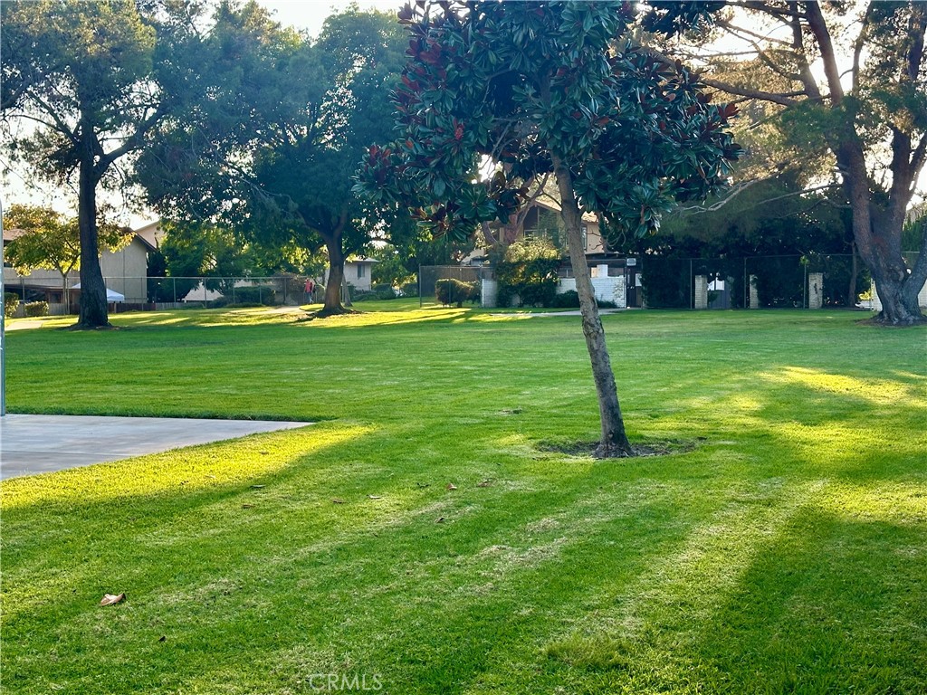 Spring Valley - Residential