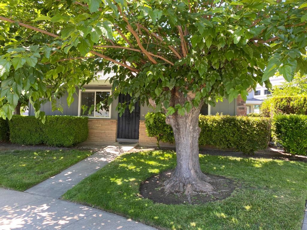 5579 Judith Street 1