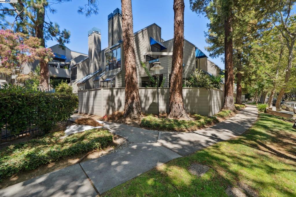 THIS IS IT! Newly remodeled, beautiful upper-end unit featuring one bedroom, one bath, plus a loft with closets which could be the 2nd bedroom, guest room or home office... Overlooks the sparkling pool and spa, with mature trees providing shade and privacy. Enjoy high vaulted ceilings and abundant natural light. In-Unit Laundry. A designated underground garage parking space with remote access. Prime Blossom Valley location, conveniently close to shopping (Costco, Trader Joe’s, 99 Ranch Market, Oakridge Mall…), dining, the Light Rail Station, and easy access to Almaden Expressway, I-85, and I-87.