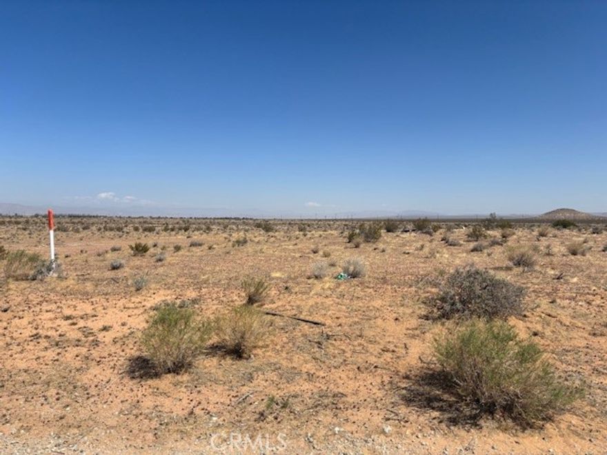 Discover the perfect build site on this 1.25-acre parcel in Kern County. Enjoy a highly sought-after location that provides the peace of a larger lot while keeping you connected. You'll have easy, quick access to California City Blvd, local schools, and nearby shopping centers. More photos of the surrounding area will be available shortly
