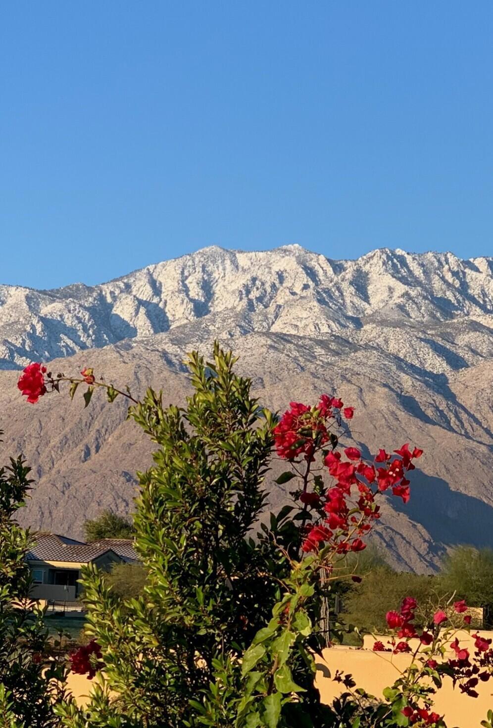 Desert Princess - Residential