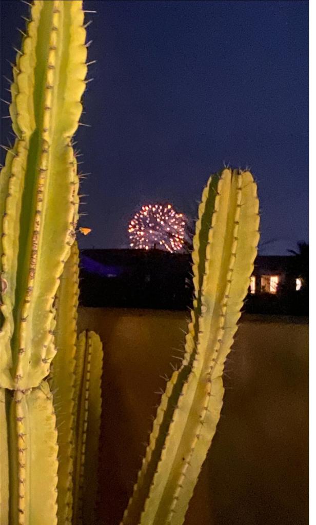 Desert Princess - Residential