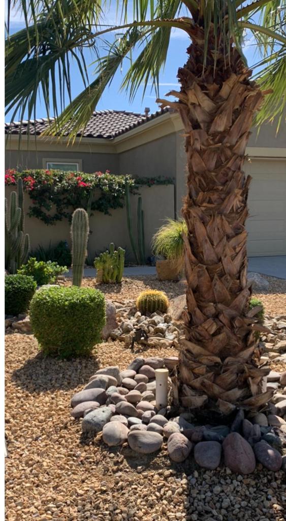 Desert Princess - Residential