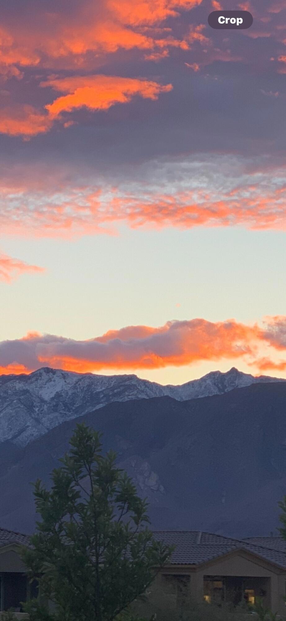 Desert Princess - Residential