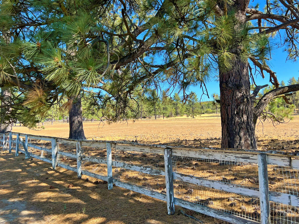 Garner Valley - Land