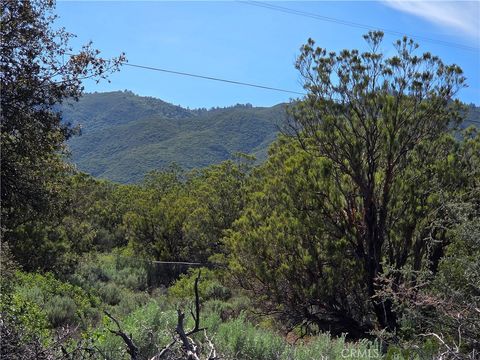 37400 Tripp Flats Anza CA 92539