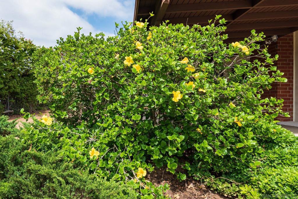 La Mesa - Residential