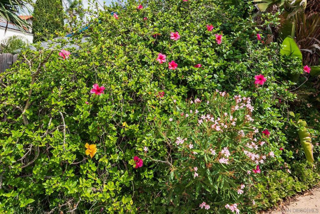 La Mesa - Residential