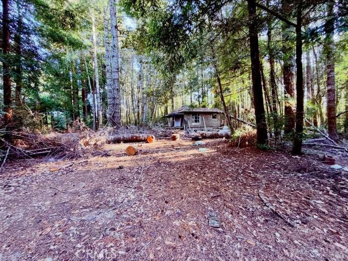 5300 Cameron Road