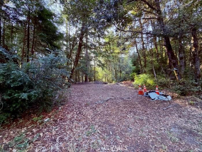 5300 Cameron Road
