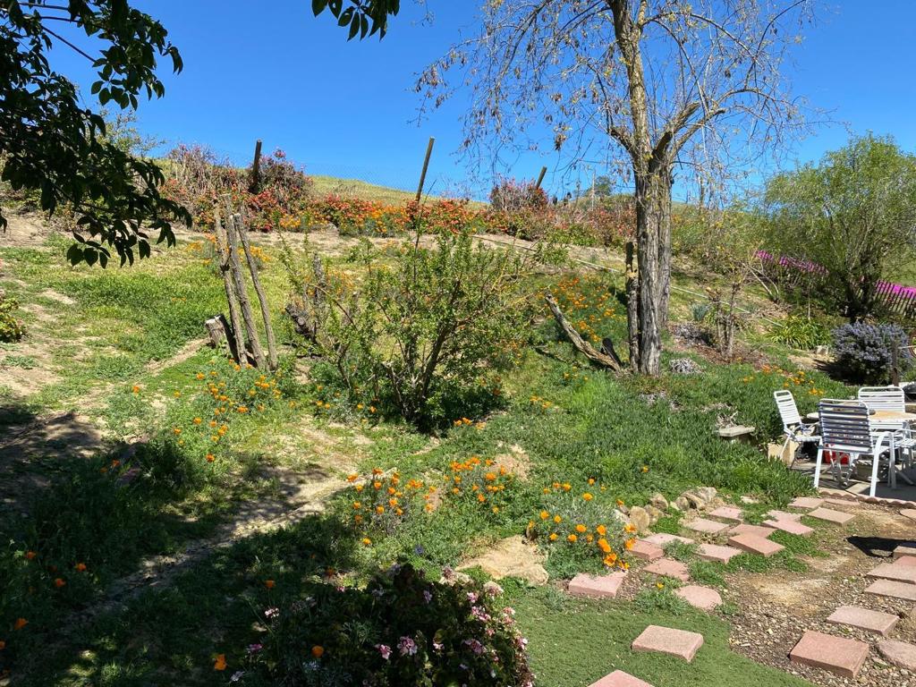 3463 Calaveras Road