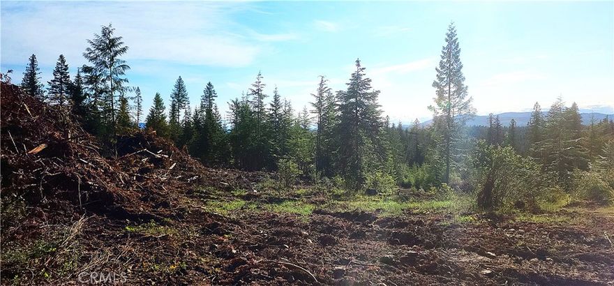 Great price for 5-Acres with wonderful mountain views to the southeast. Take in a beautiful sunrise every morning! Multiple areas for a pad to build your home or additional outbuildings. It's much easier to build in Benewah County!  Surrounded by 1000's of acres of timberland with abundant wildlife on your property! Power lines within feet of the property line. Neighbor has a very productive well and is willing to share which will save you money. Great opportunity if you want to build an off-grid home. It's secluded and peaceful yet close enough to St. Maries (about 15 mins). Near Sportsman's Estates and Flat Creek Rd
