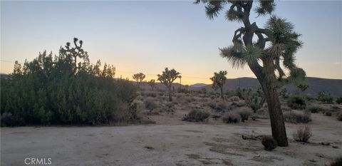 Photo of 1234 Canton Street, Yucca Valley, CA 92284 (MLS # JT25242301) Photo of 1234 Canton Street, Yucca Valley, CA 92284 (MLS # JT25242301)