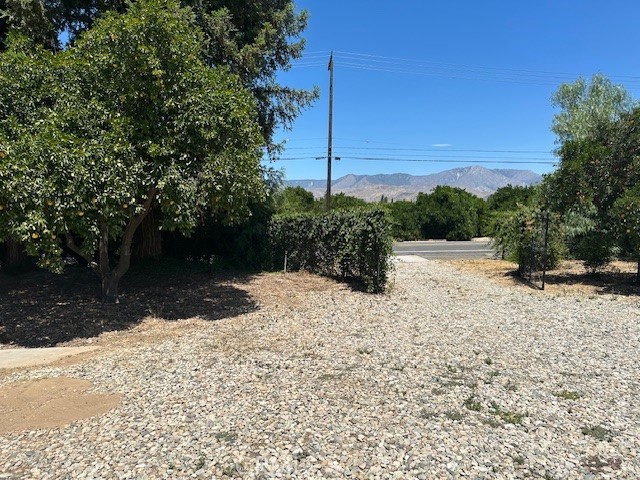 1902 E Citrus Avenue
