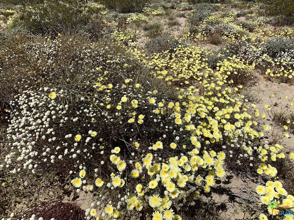 Not Applicable-1 - Land