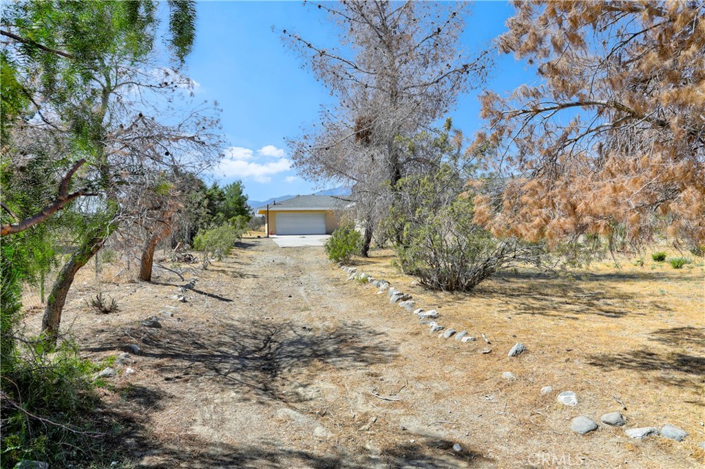 2837 Sequoia Road