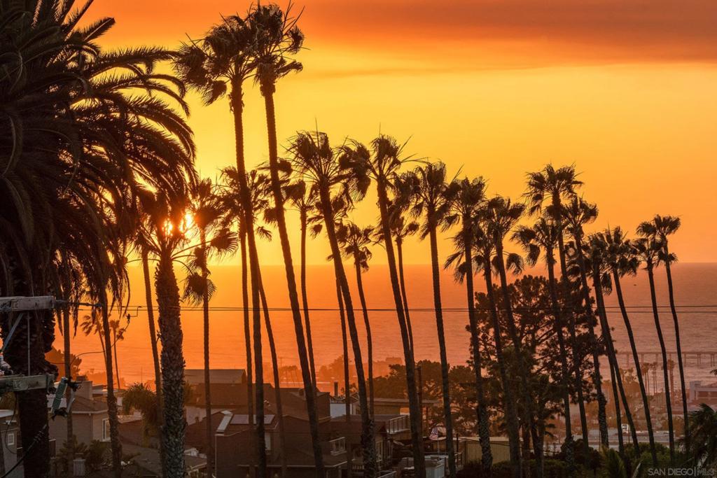 Ocean Beach - Residential Lease