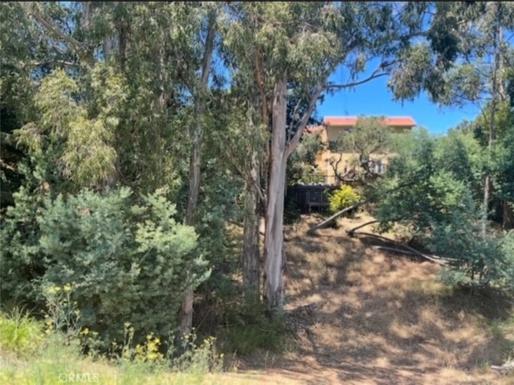 Gently sloped parcel with mature trees located in the desirable Upper Rockridge area of Oakland Hills near Broadway Terrace. This unimproved land does not currently have on-site utilities; however, PG&E and the water main meter are available nearby on Sheridan Road at street level.
Some road improvements will be required from the existing paved section of Sheridan Road to the property. Situated in a secluded cul-de-sac surrounded by established trees, this lot offers a unique opportunity to build in a peaceful yet highly accessible location.
Excellent freeway access, just minutes from Highways 13 and 24, Broadway Terrace, and Temescal Regional Recreation Area. The surrounding neighborhood features a mix of luxurious homes and new development, highlighting the strong demand in this sought-after area.
Do not miss this chance to build in one of Oakland's most desirable hillside communities.