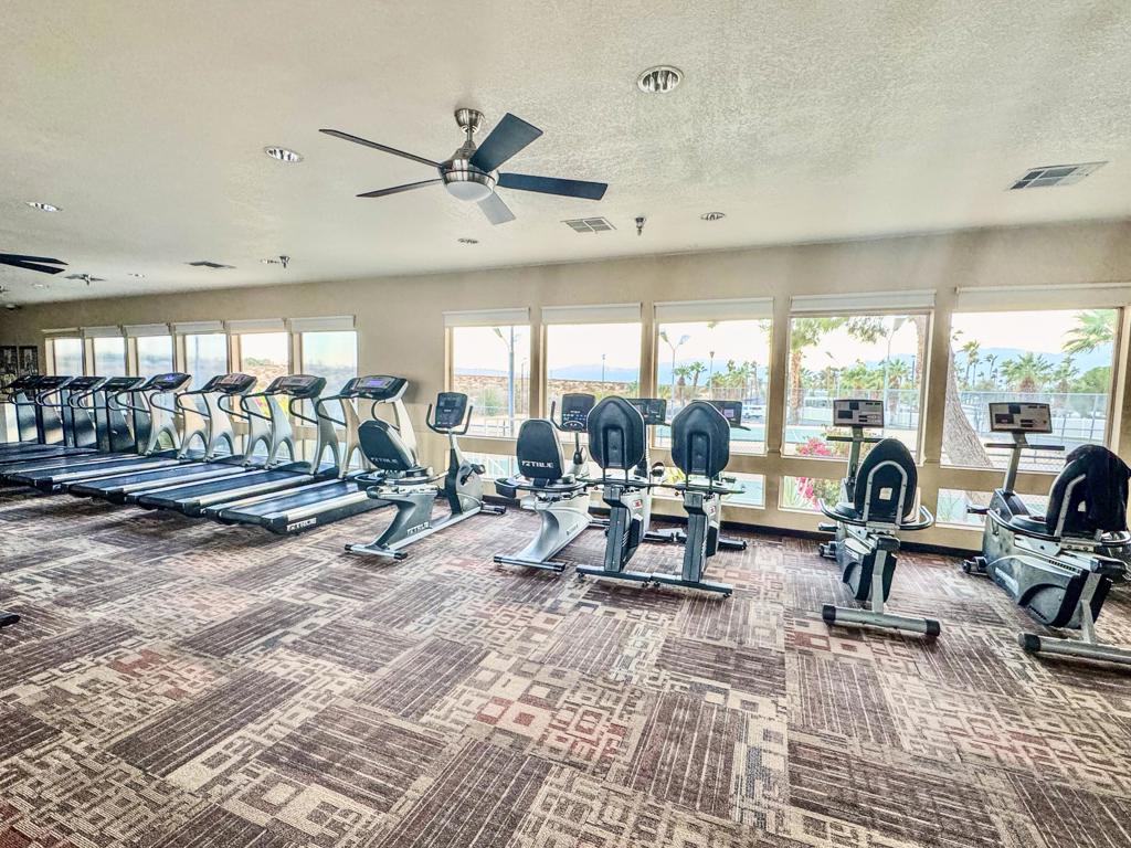 Hidden Springs - Manufactured In Park